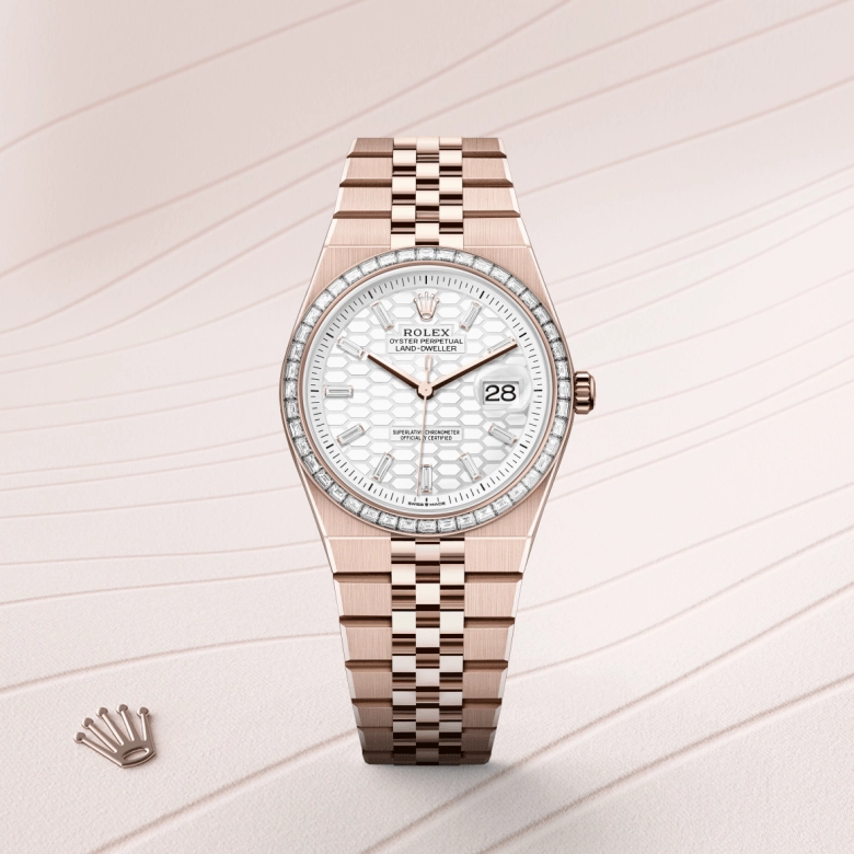rolex land-dweller in everose gold, m127285tbr-0002 - kee hing hung