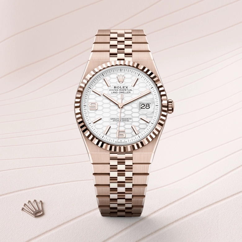 rolex land-dweller in everose gold, m127335-0001 - kee hing hung