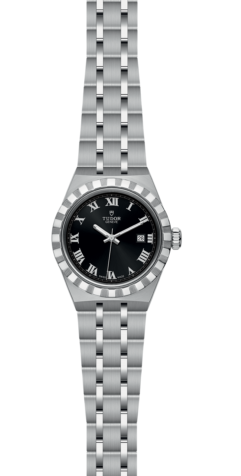 M28300-0003_specimage.png