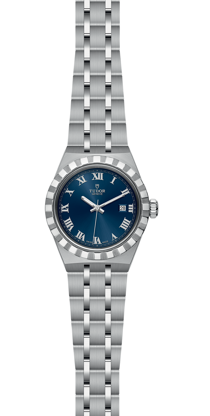 M28300-0006_specimage.png