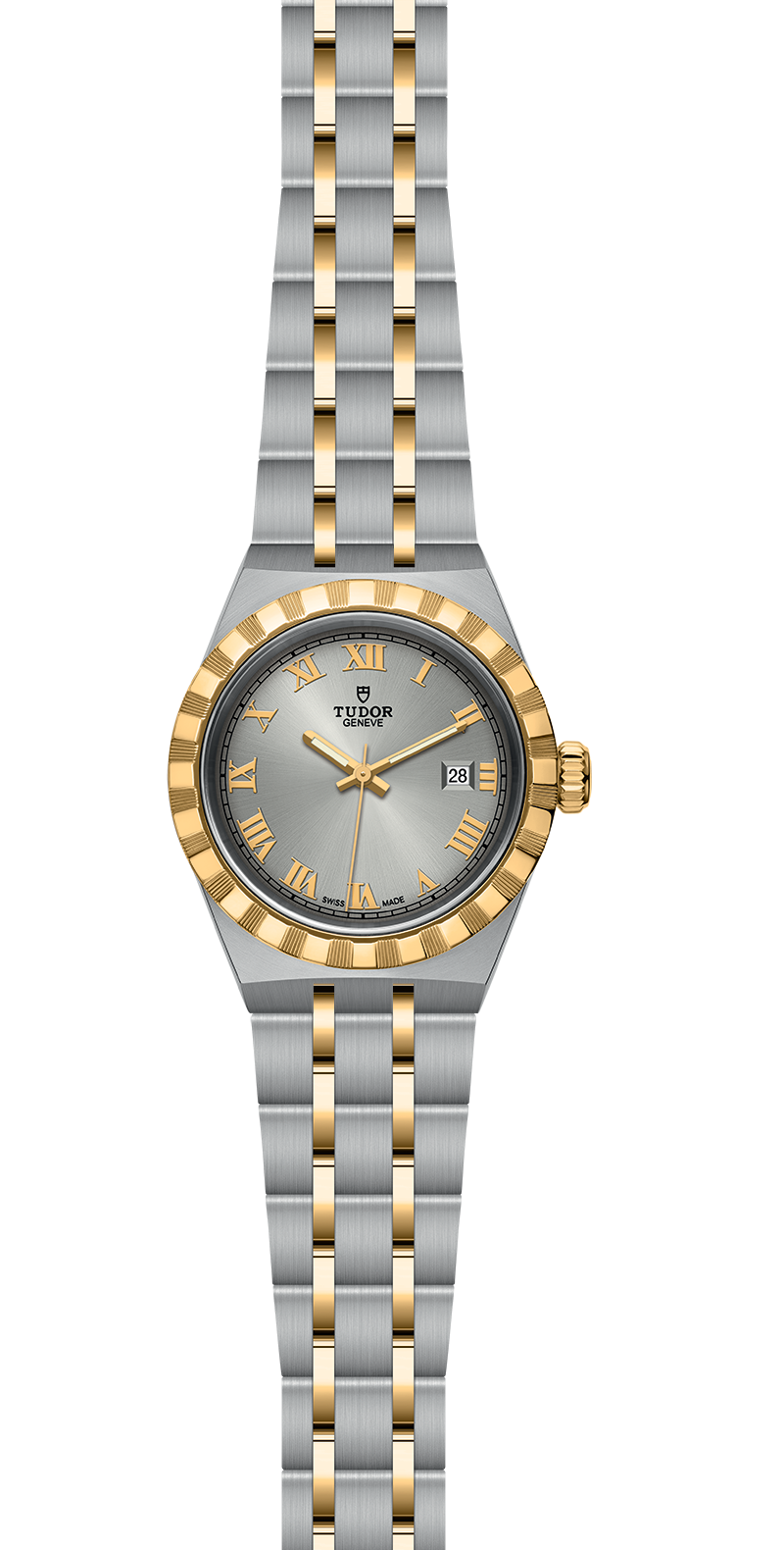 M28303-0001_specimage.png