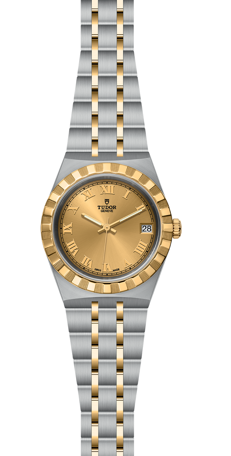 M28403-0004_specimage.png