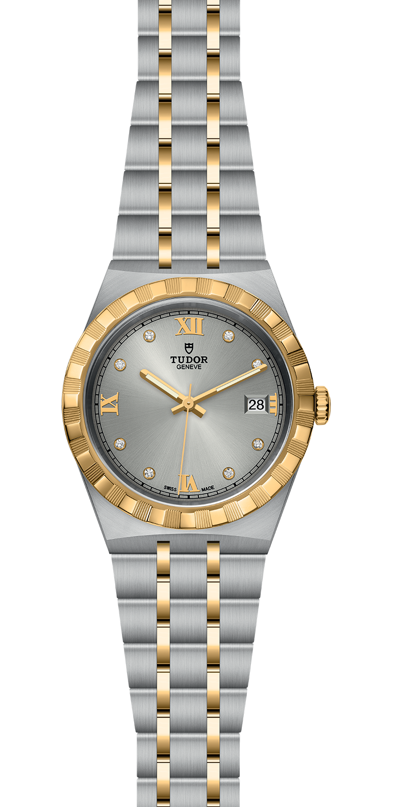M28503-0002_specimage.png