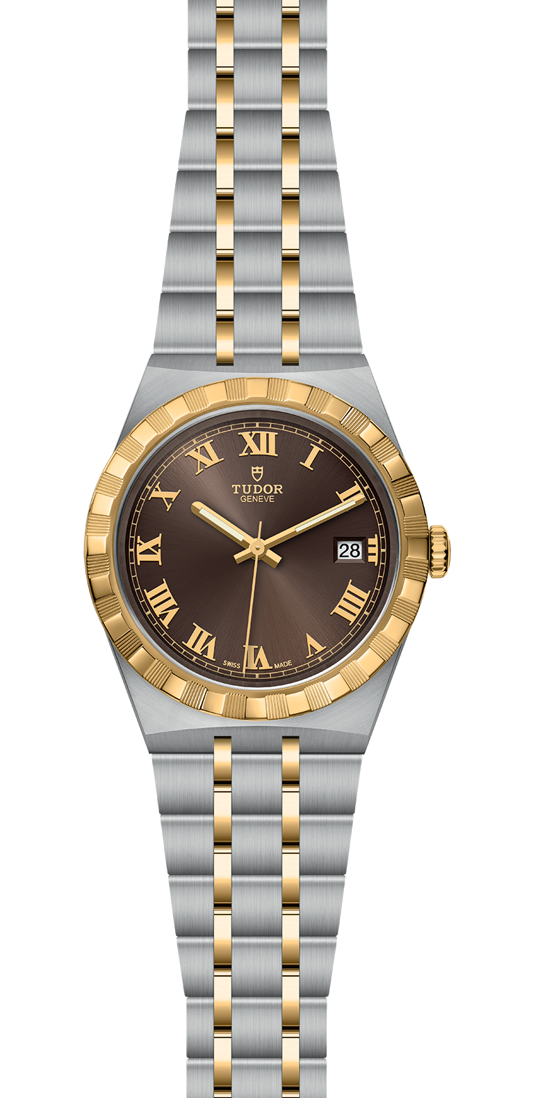 M28503-0007_specimage.png