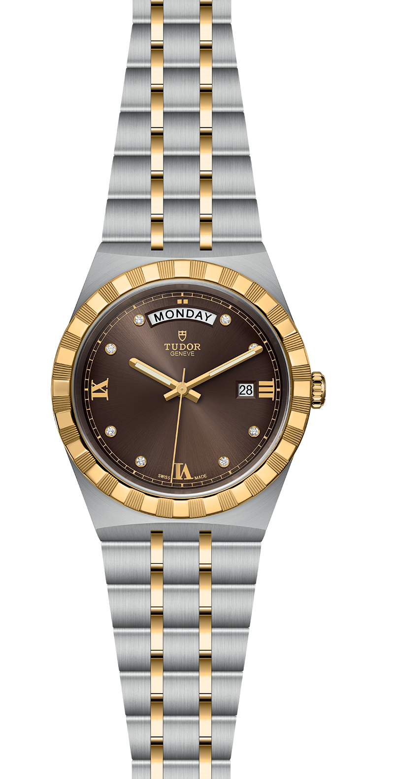 M28603-0008_specimage-1.png
