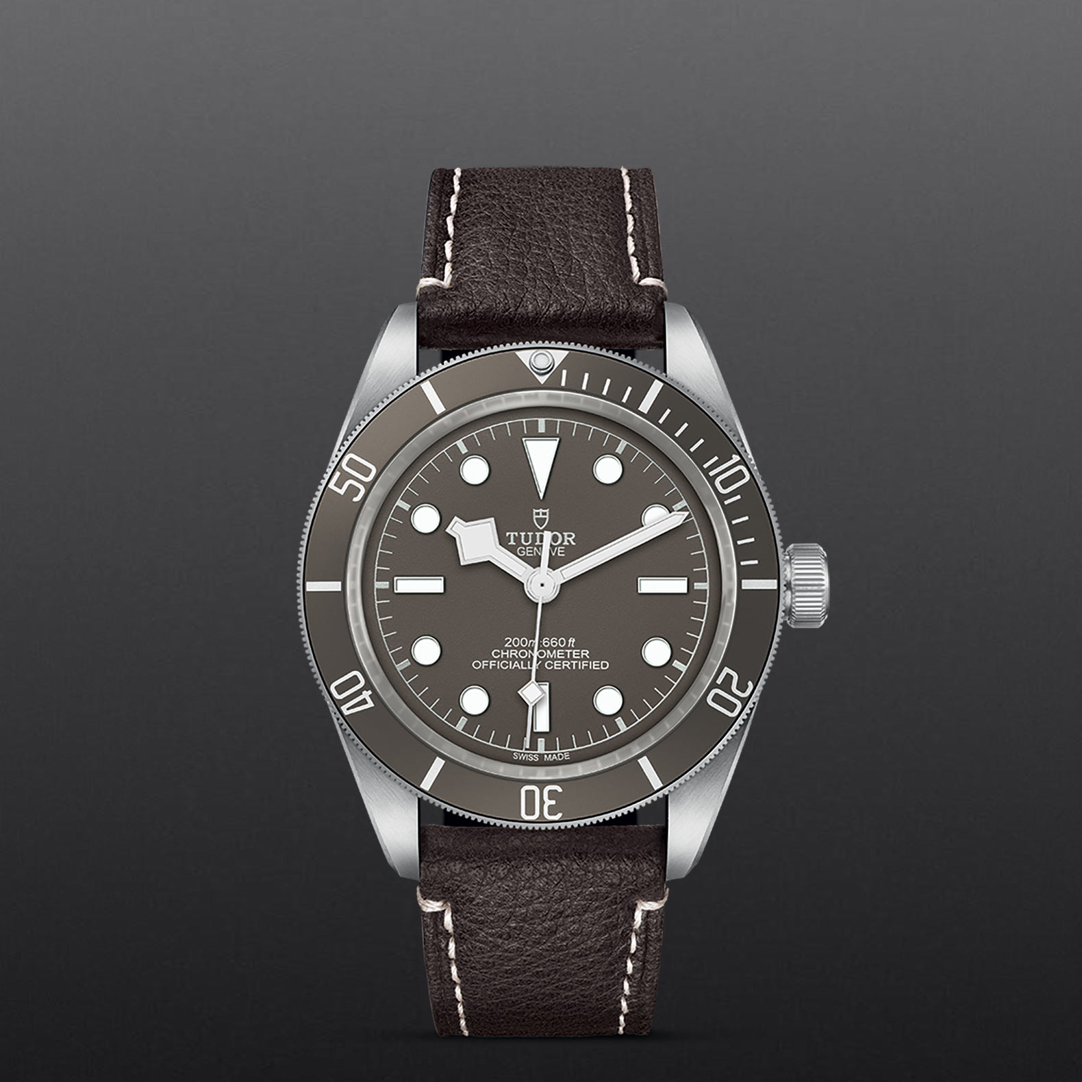 Black Bay 58 | 79010SG | Silver | M79010SG-0001 | Tudor Official Retailer - Kee Hing Hung