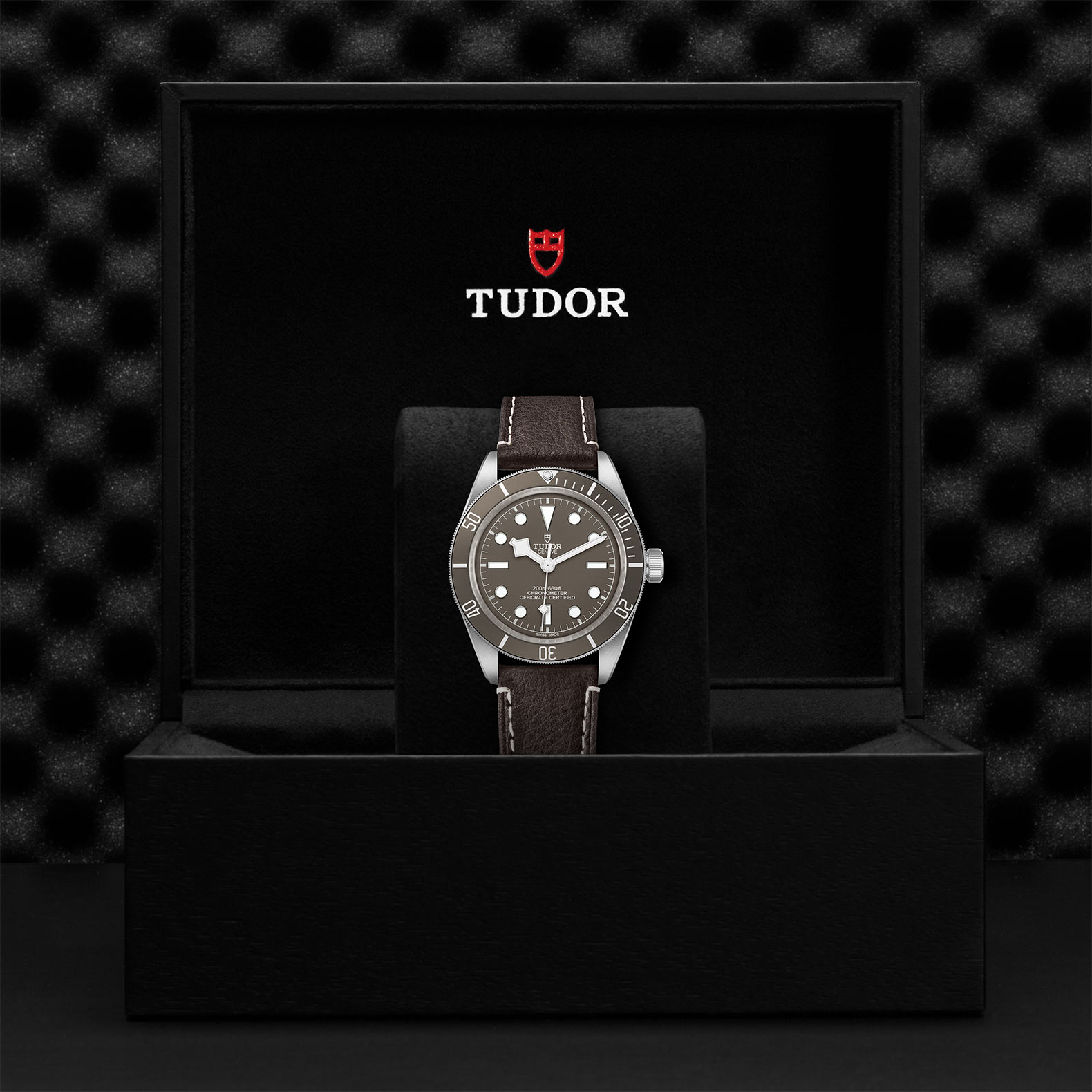 Black Bay 58 | 79010SG | Silver | M79010SG-0001 | Tudor Official Retailer - Kee Hing Hung