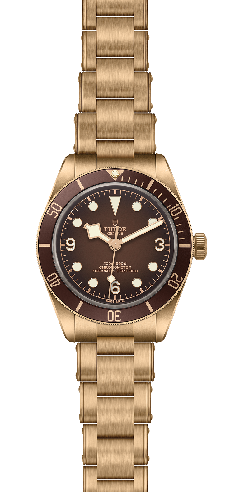 M79012M-0001_specimage.png