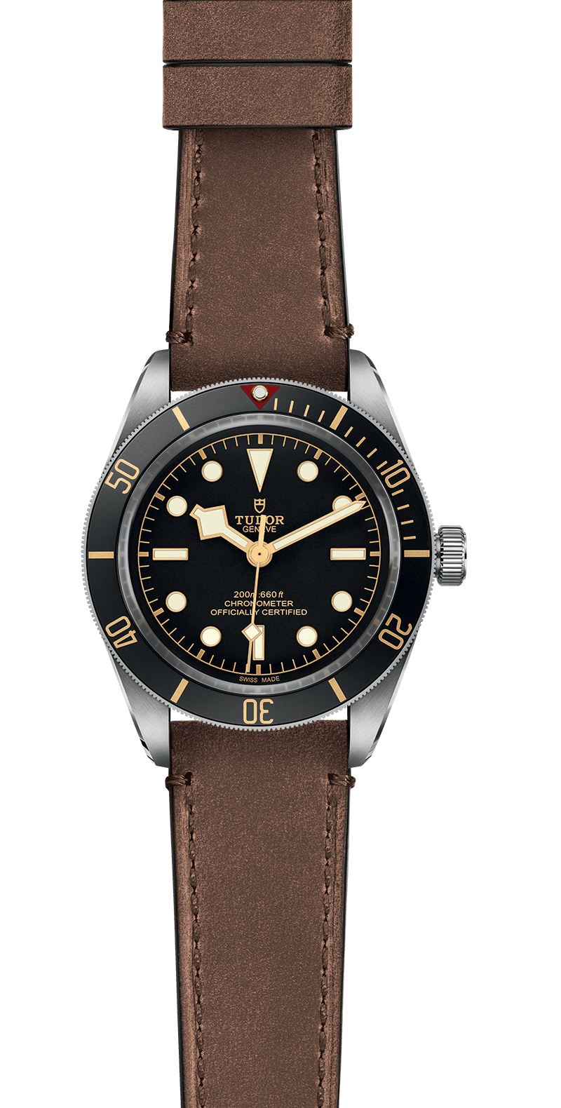 M79030N-0002_specimage.png