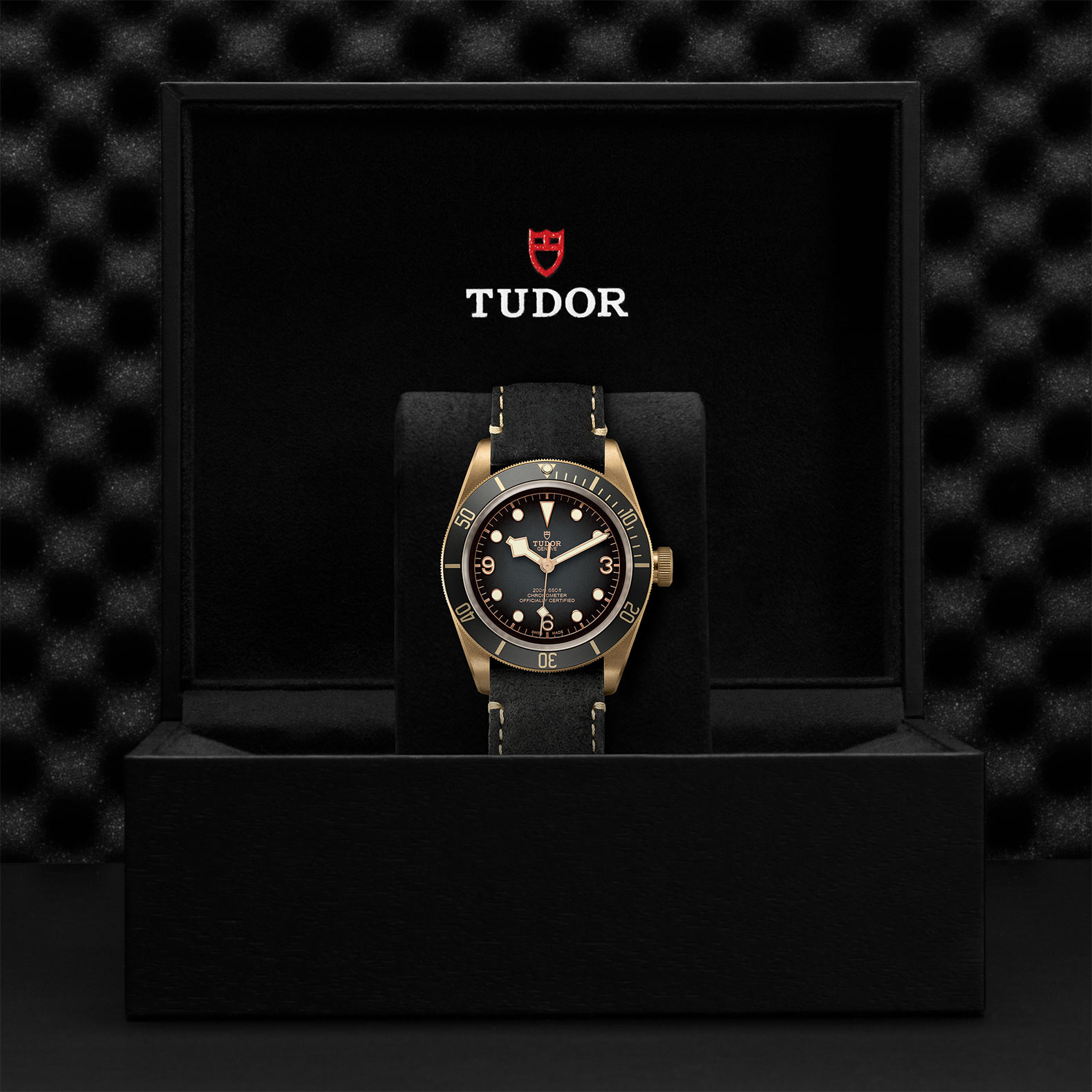 Black Bay Bronze | 79250BA | Bronze | M79250BA-0001 | Tudor Official Retailer - Kee Hing Hung