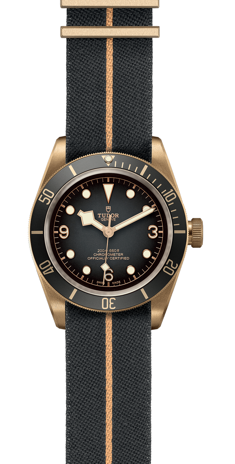 M79250BA-0002_specimage.png