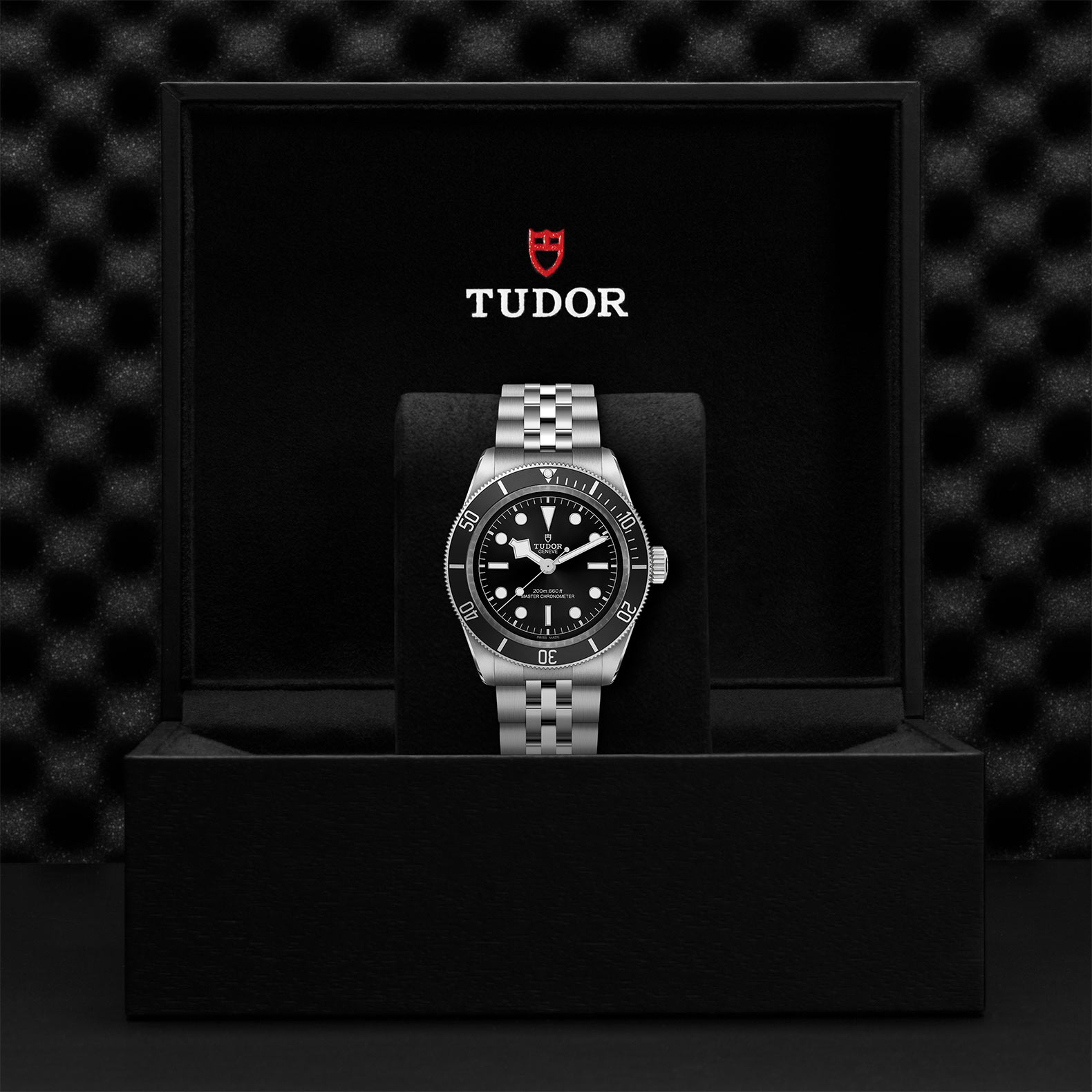 Black Bay | 7941A1A0NU | Steel | M7941A1A0NU-0003 | Tudor Official Retailer - Kee Hing Hung