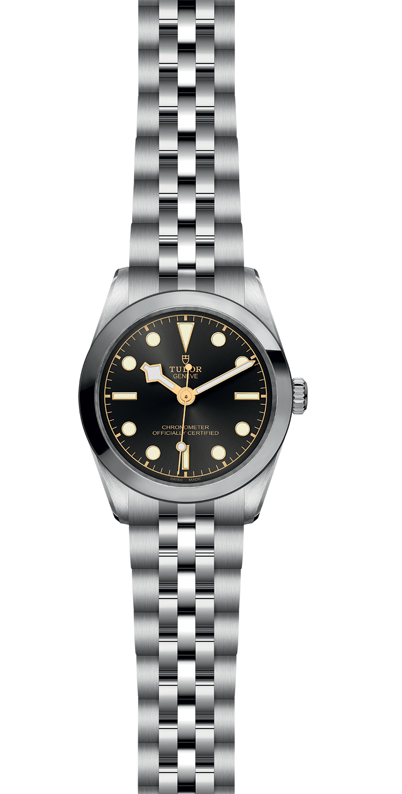M79600-0001_specimage.png