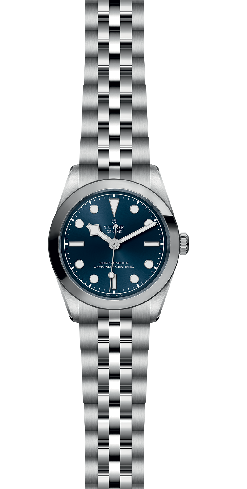 M79600-0002_specimage.png