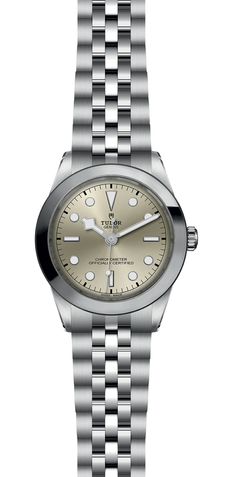 M79660-0003_specimage.png