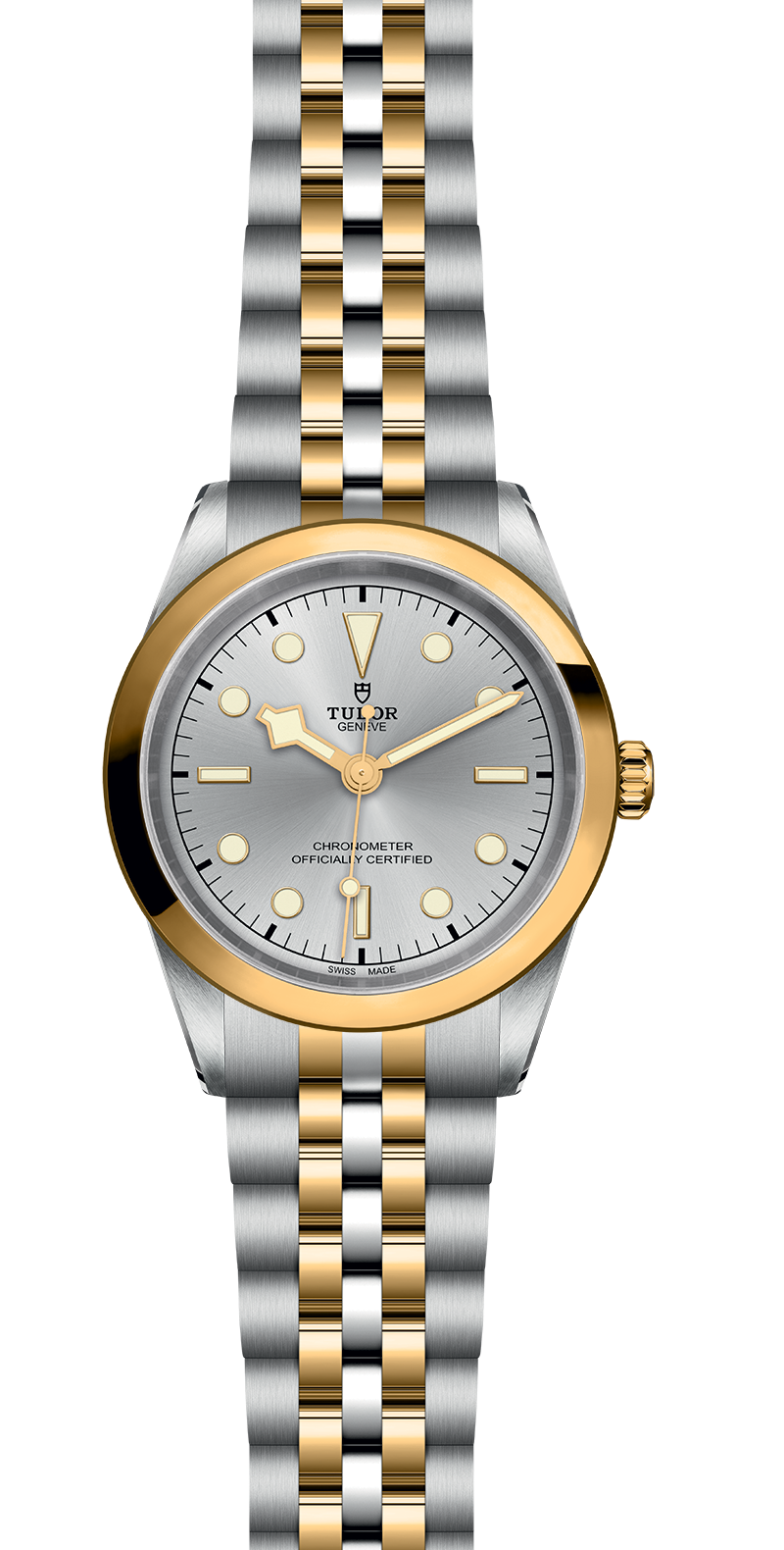 M79683-0002_specimage.png