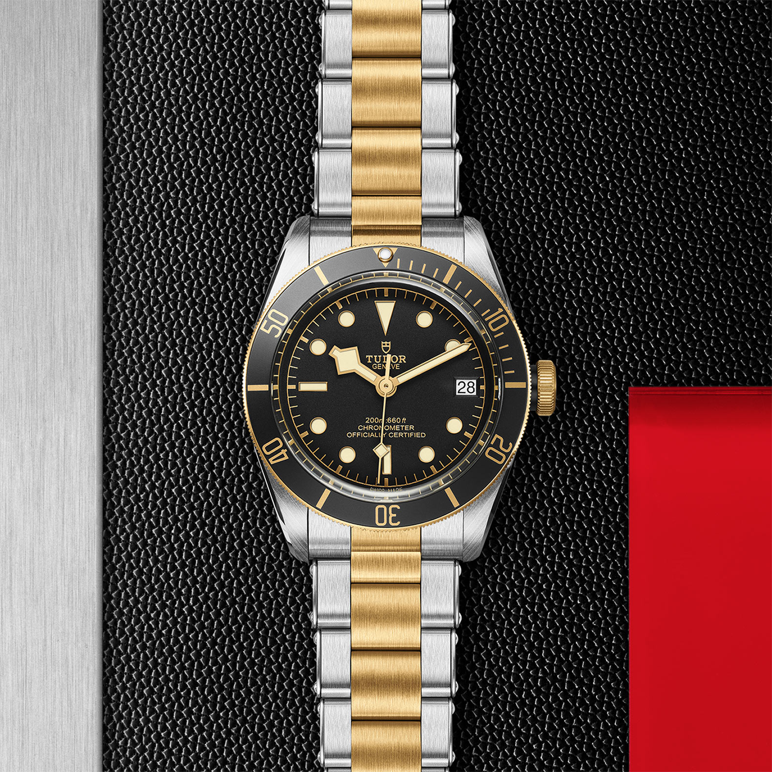 Black Bay | 79733N | Steel and Gold | M79733N-0008 | Tudor Official Retailer - Kee Hing Hung