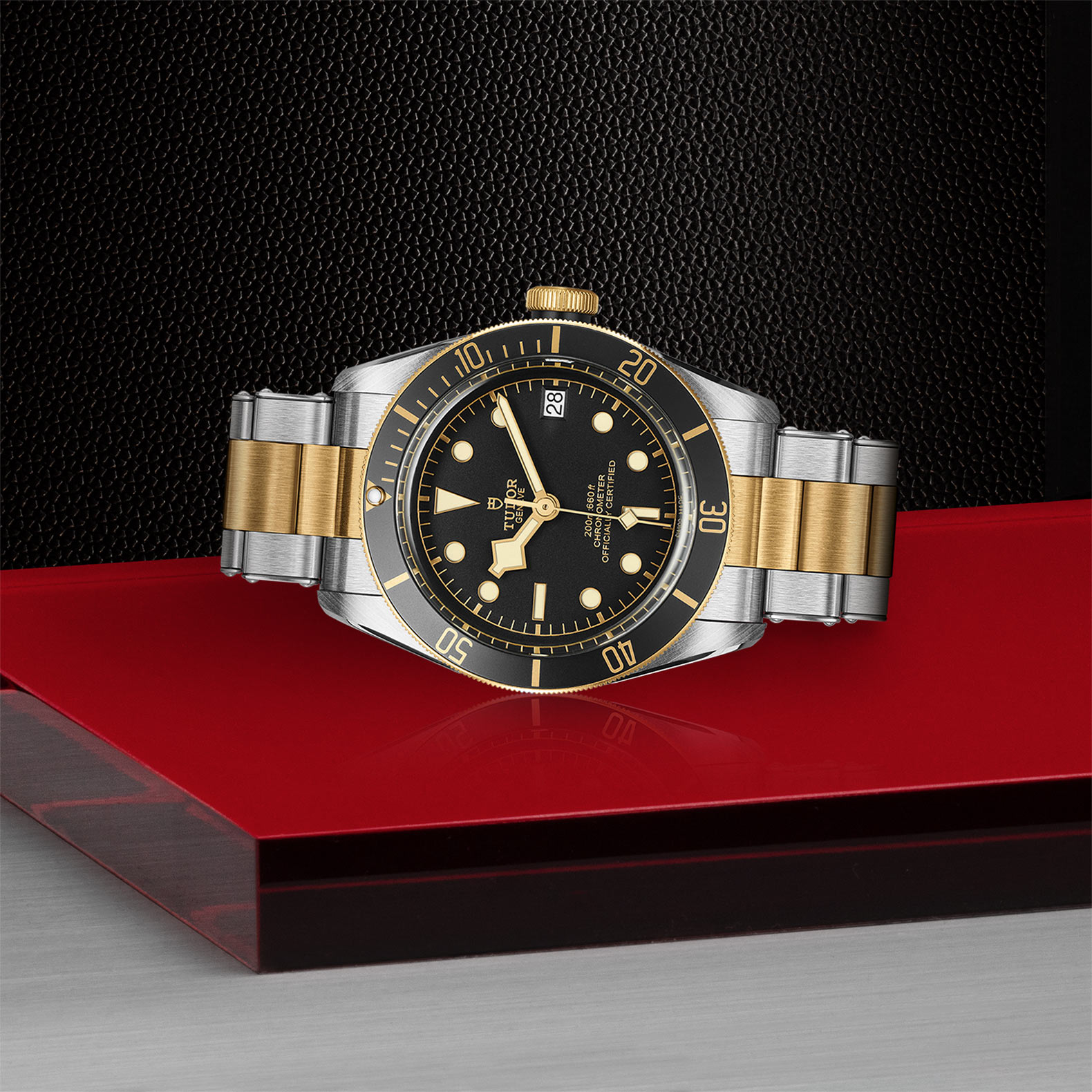 Black Bay | 79733N | Steel and Gold | M79733N-0008 | Tudor Official Retailer - Kee Hing Hung