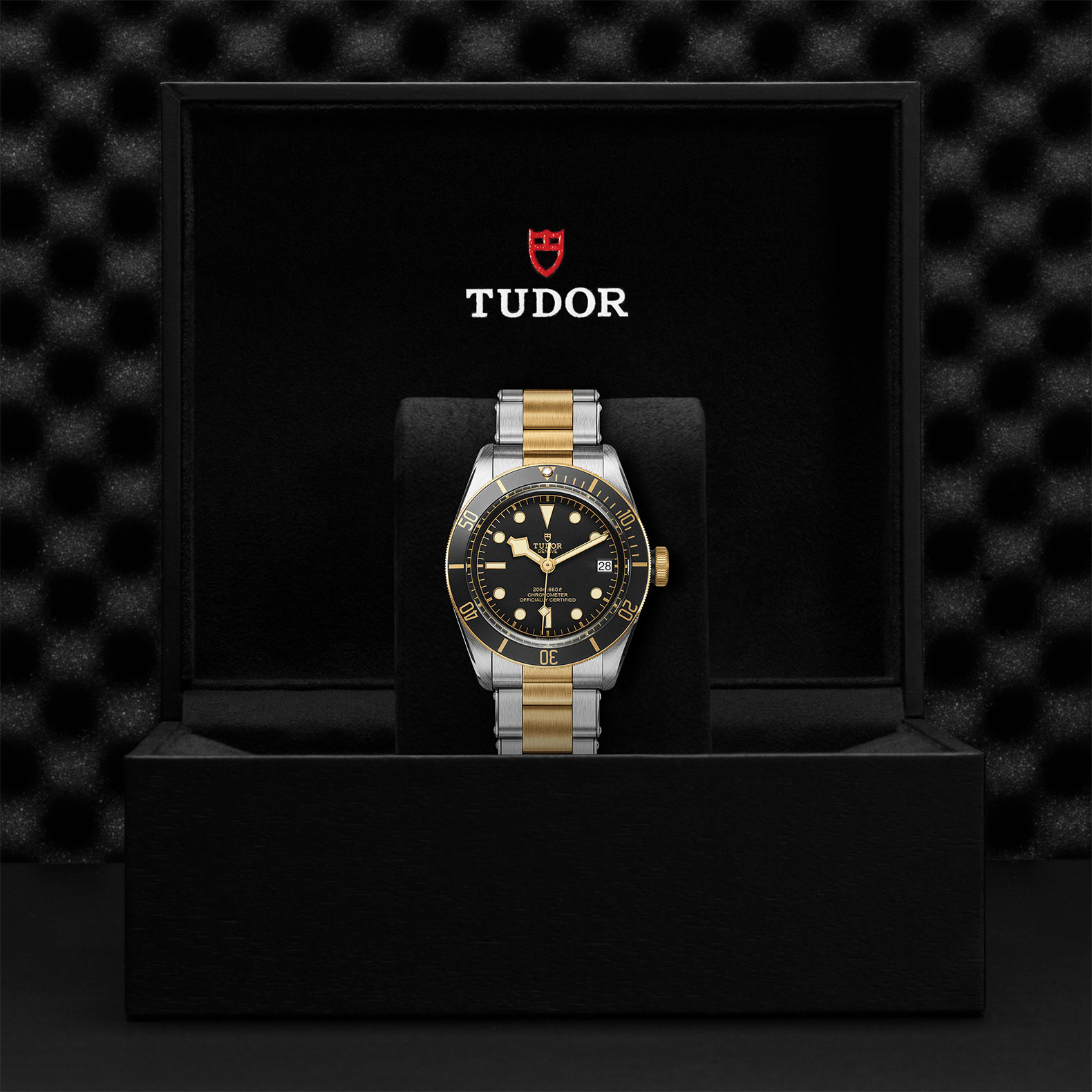 Black Bay | 79733N | Steel and Gold | M79733N-0008 | Tudor Official Retailer - Kee Hing Hung