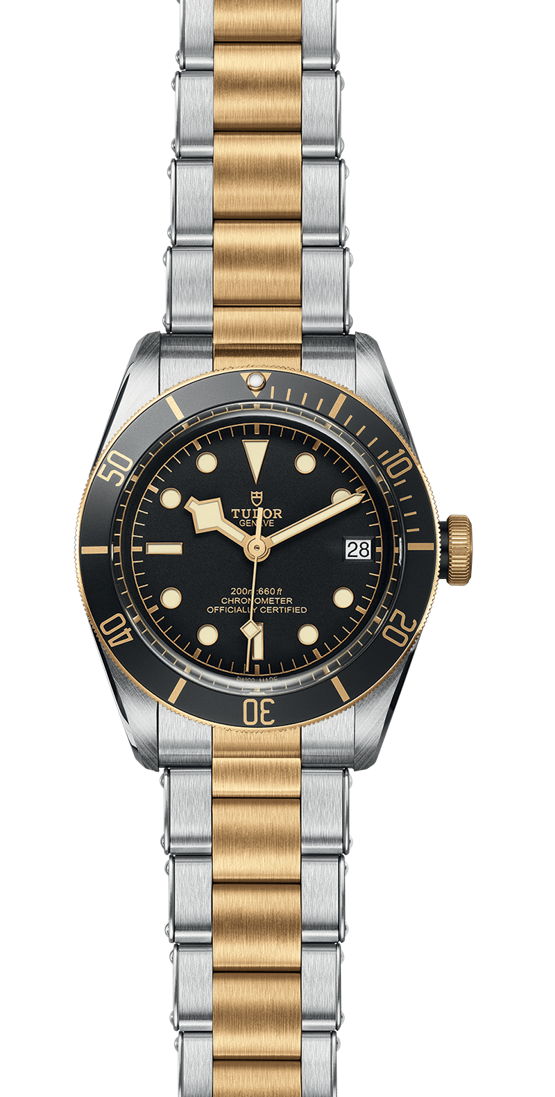 Black Bay | 79733N | Steel and Gold | M79733N-0008 | Tudor Official Retailer - Kee Hing Hung