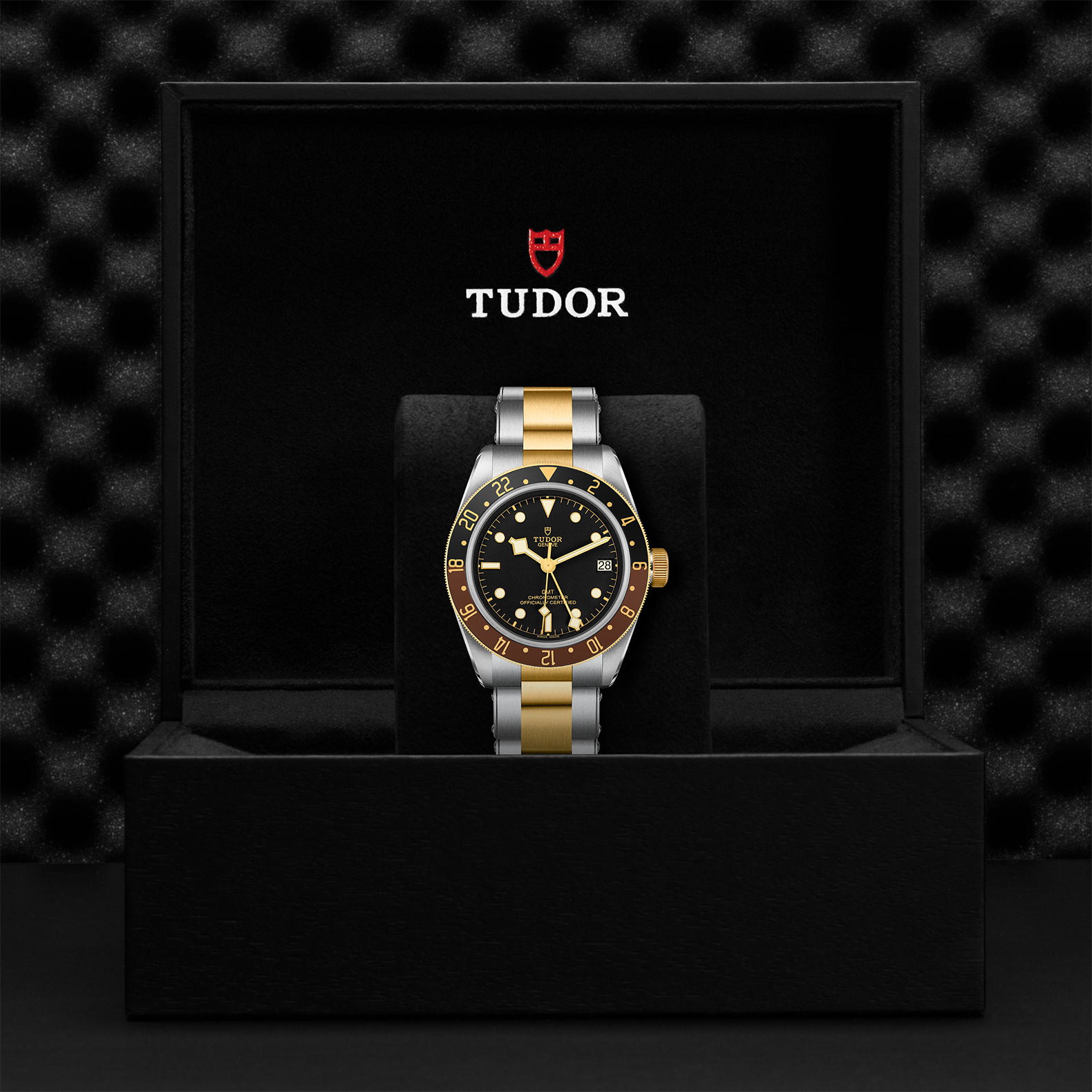 Black Bay GMT | 79833MN | Steel and Gold | M79833MN-0001 | Tudor Official Retailer - Kee Hing Hung