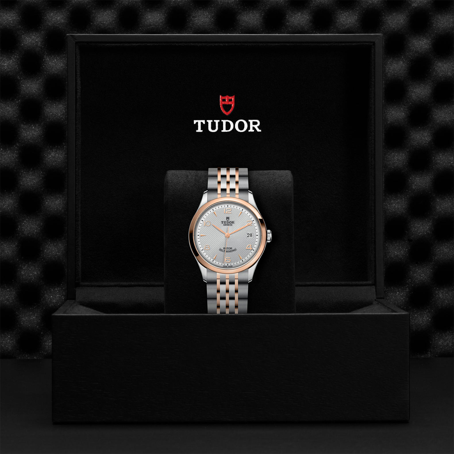 1926 | 91451 | Steel and Gold | M91451-0001 | Tudor Official Retailer - Kee Hing Hung