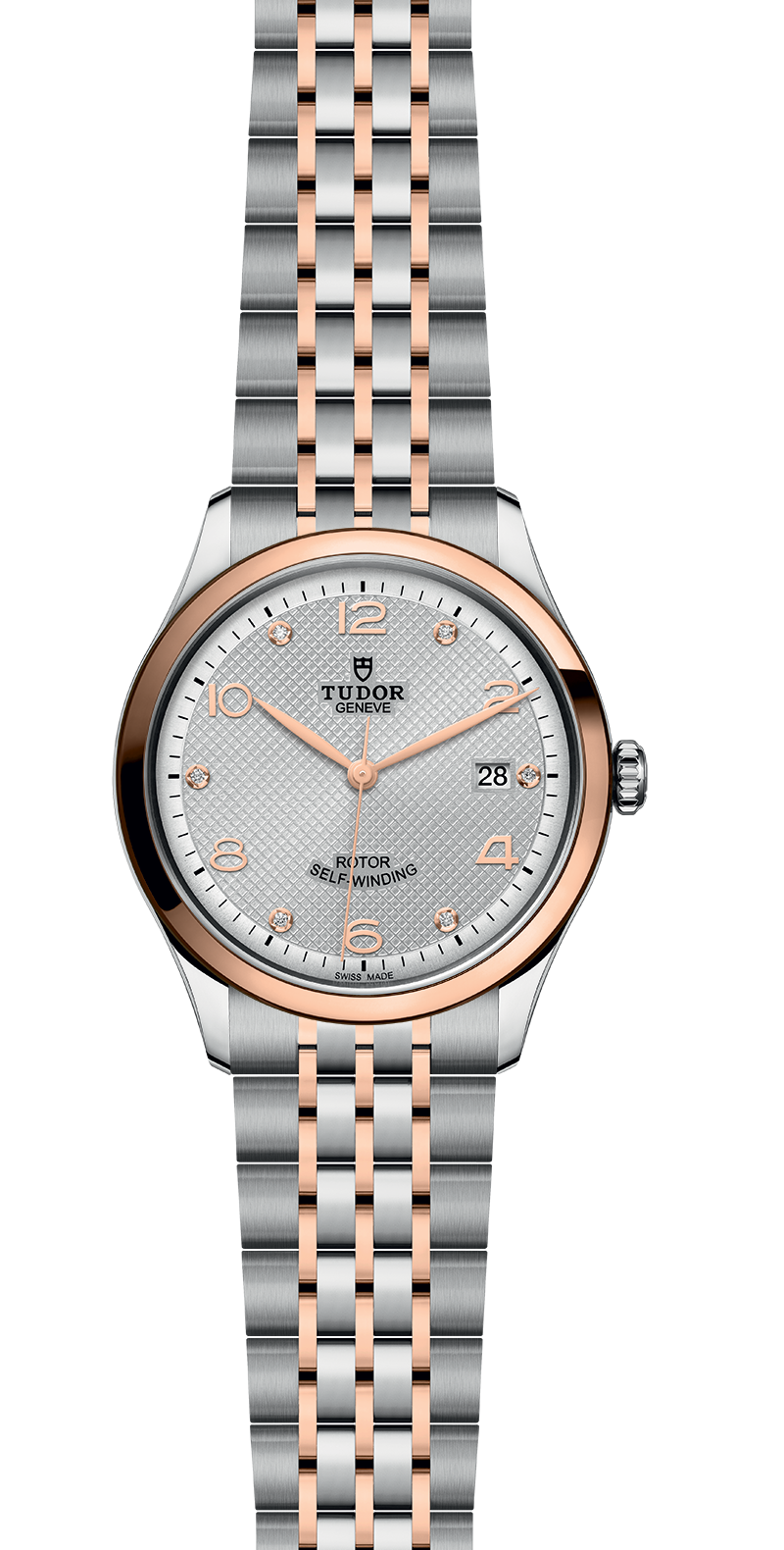 M91551-0002_specimage.png