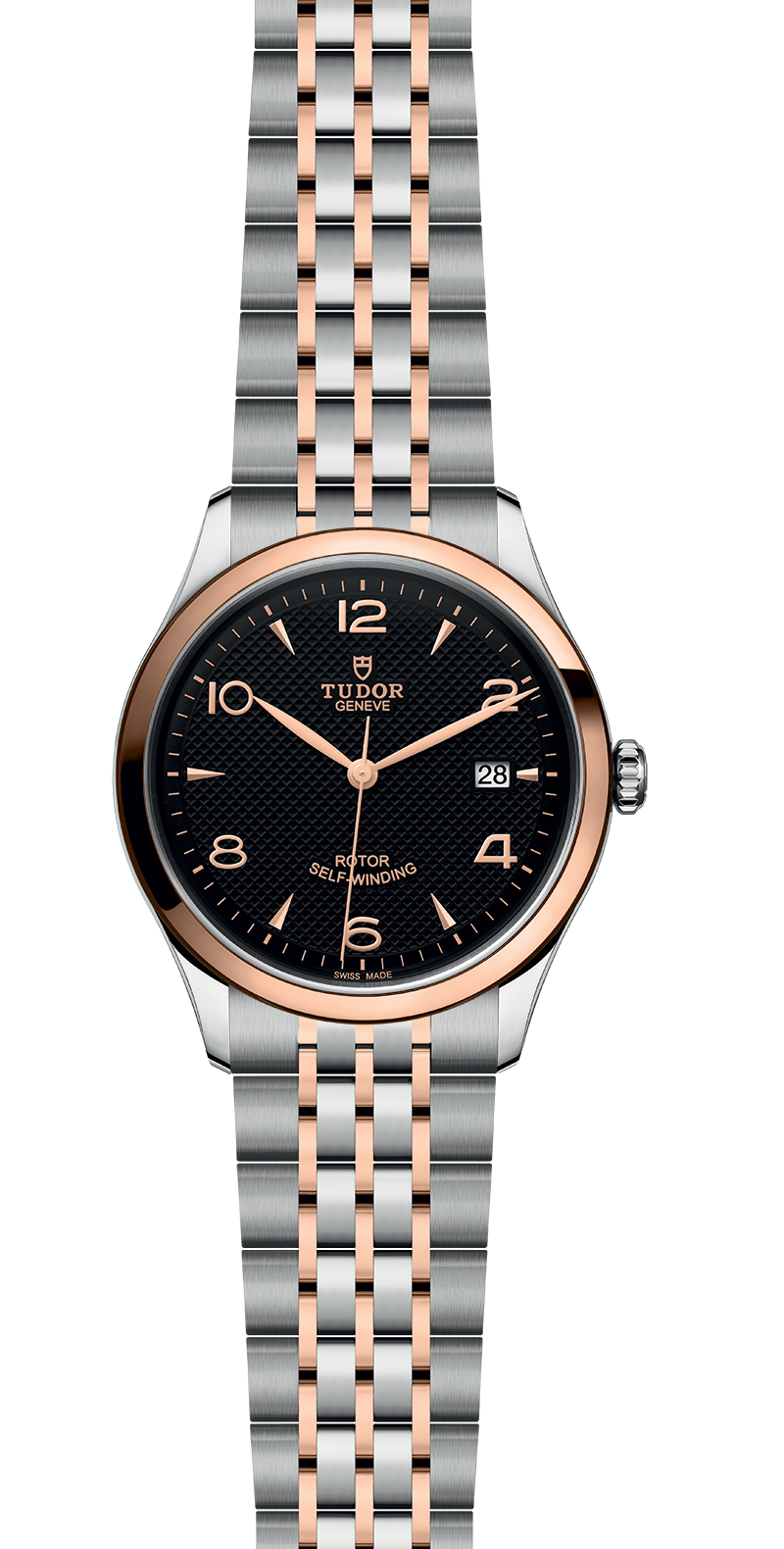 M91551-0003_specimage.png