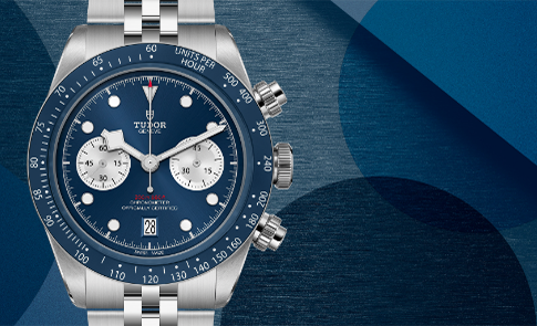 Tudor-banner (485 x 295)