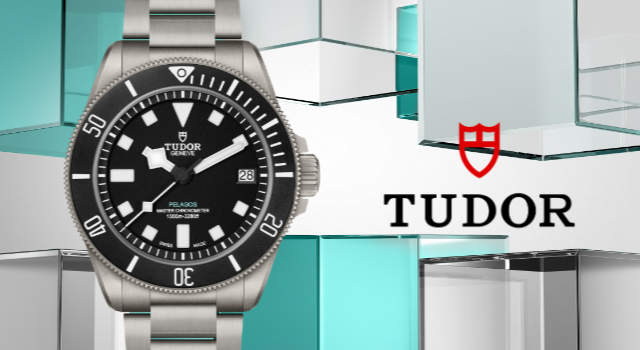 Tudor-banner (4)