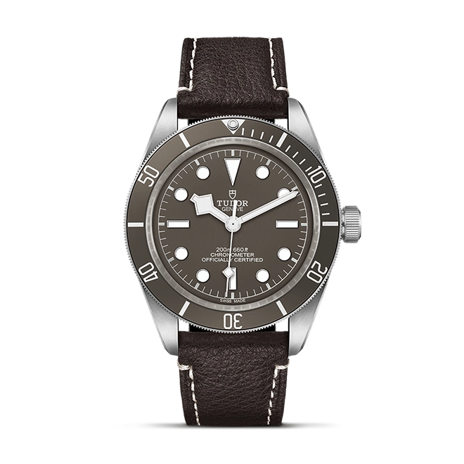 Black Bay | 79010SG | Silver | M79010SG-0001 | Tudor Official Retailer - Kee Hing Hung