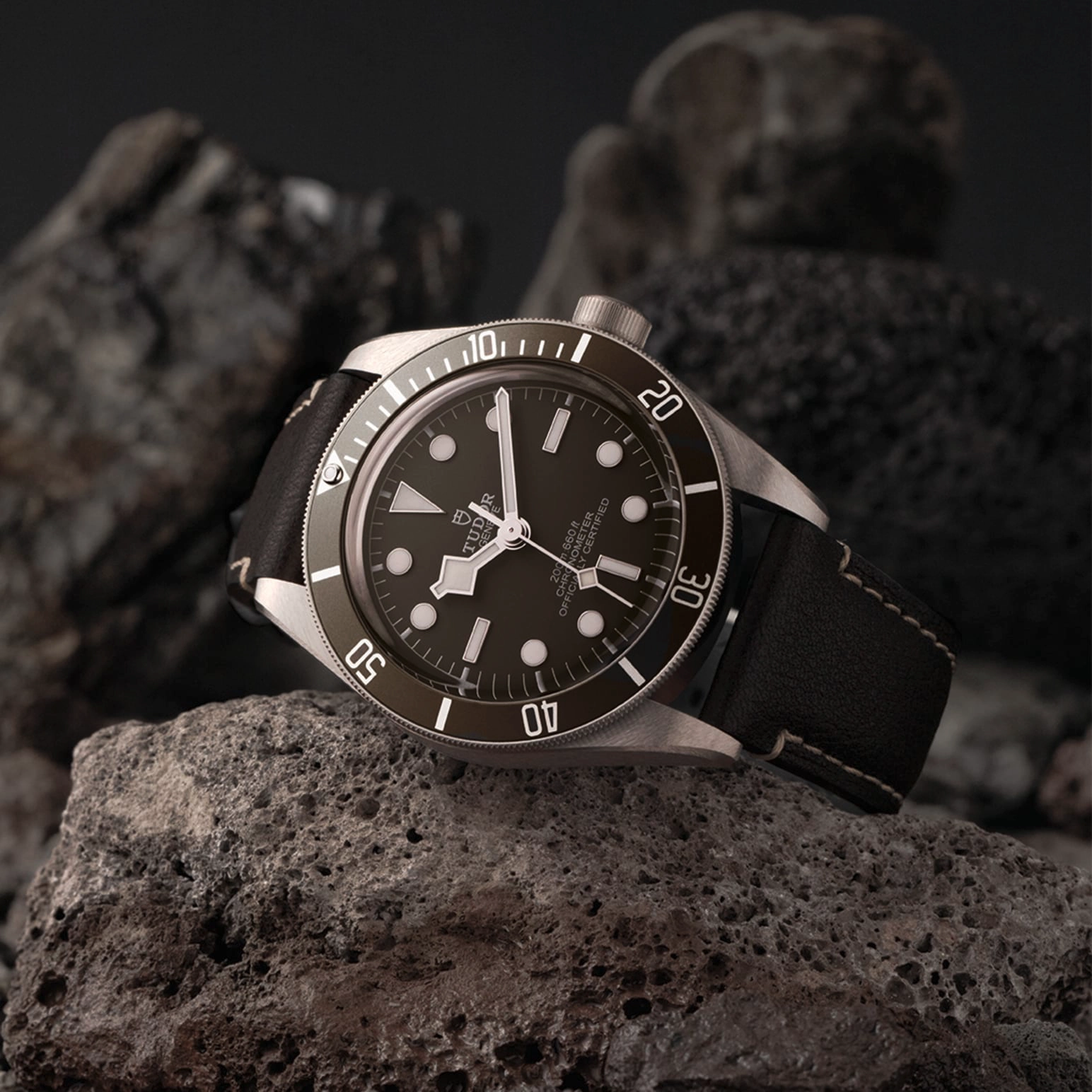 Black Bay | 79010SG | Silver | M79010SG-0001 | Tudor Official Retailer - Kee Hing Hung
