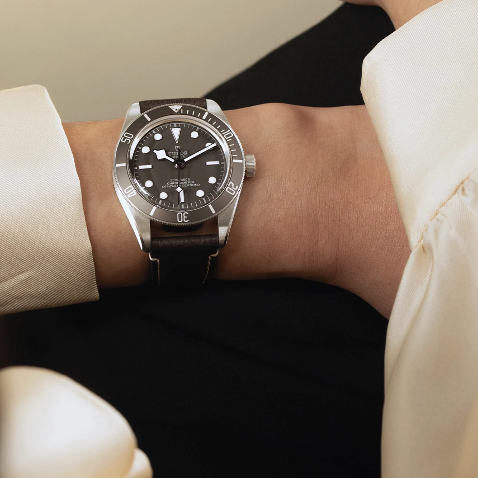 Black Bay | 79010SG | Silver | M79010SG-0001 | Tudor Official Retailer - Kee Hing Hung