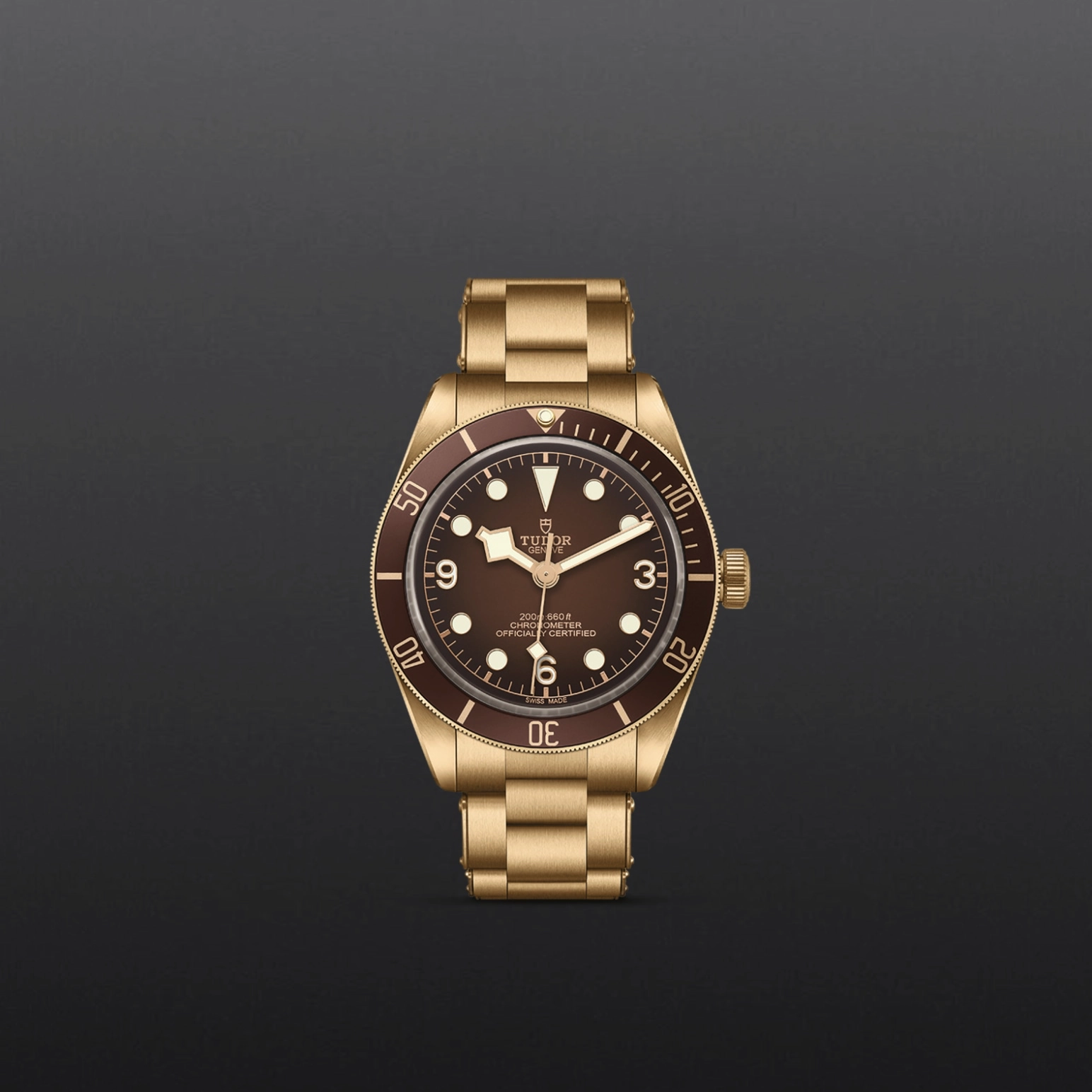 Black Bay | 79012M | Bronze | M79012M-0001 | Tudor Official Retailer - Kee Hing Hung