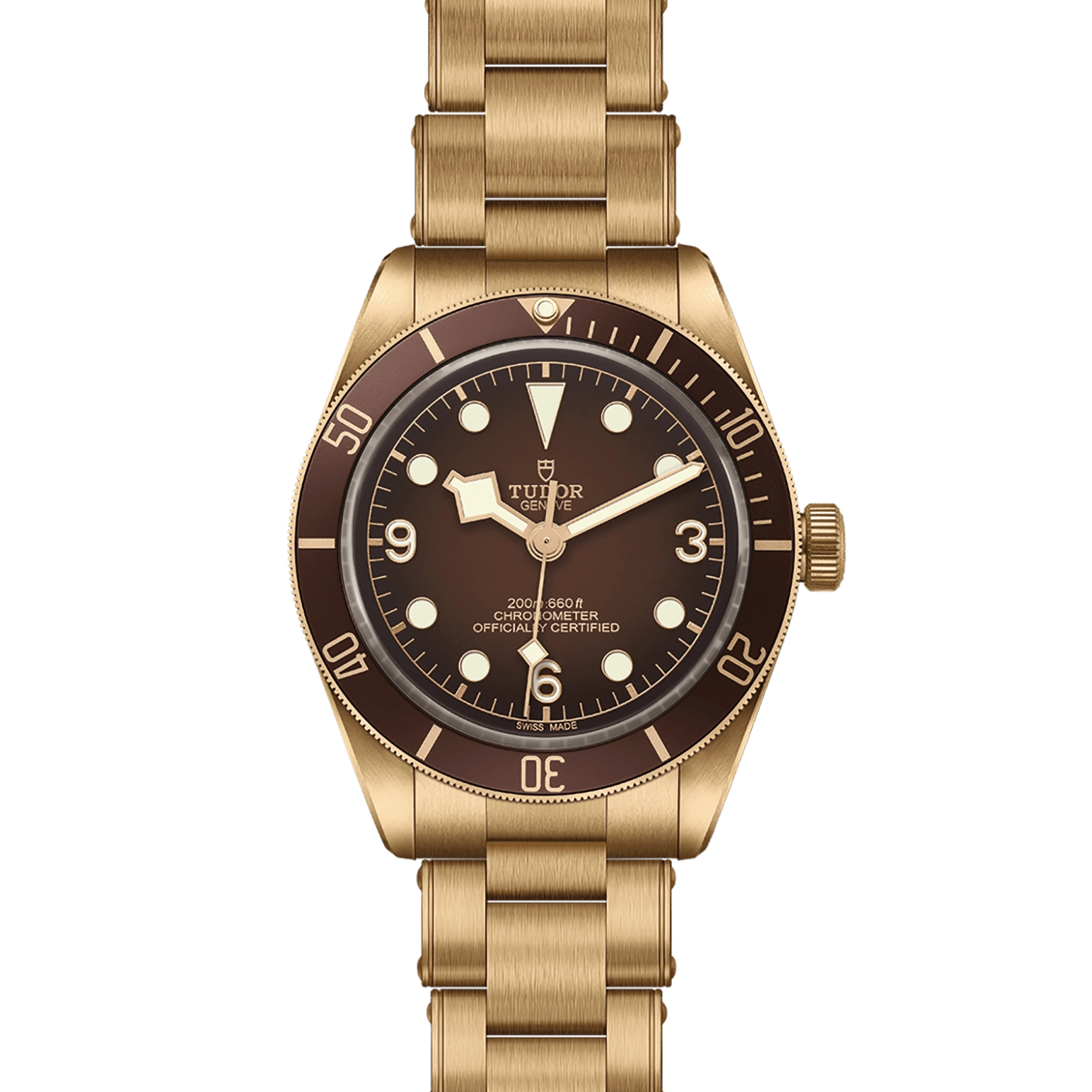 Black Bay | 79012M | Bronze | M79012M-0001 | Tudor Official Retailer - Kee Hing Hung