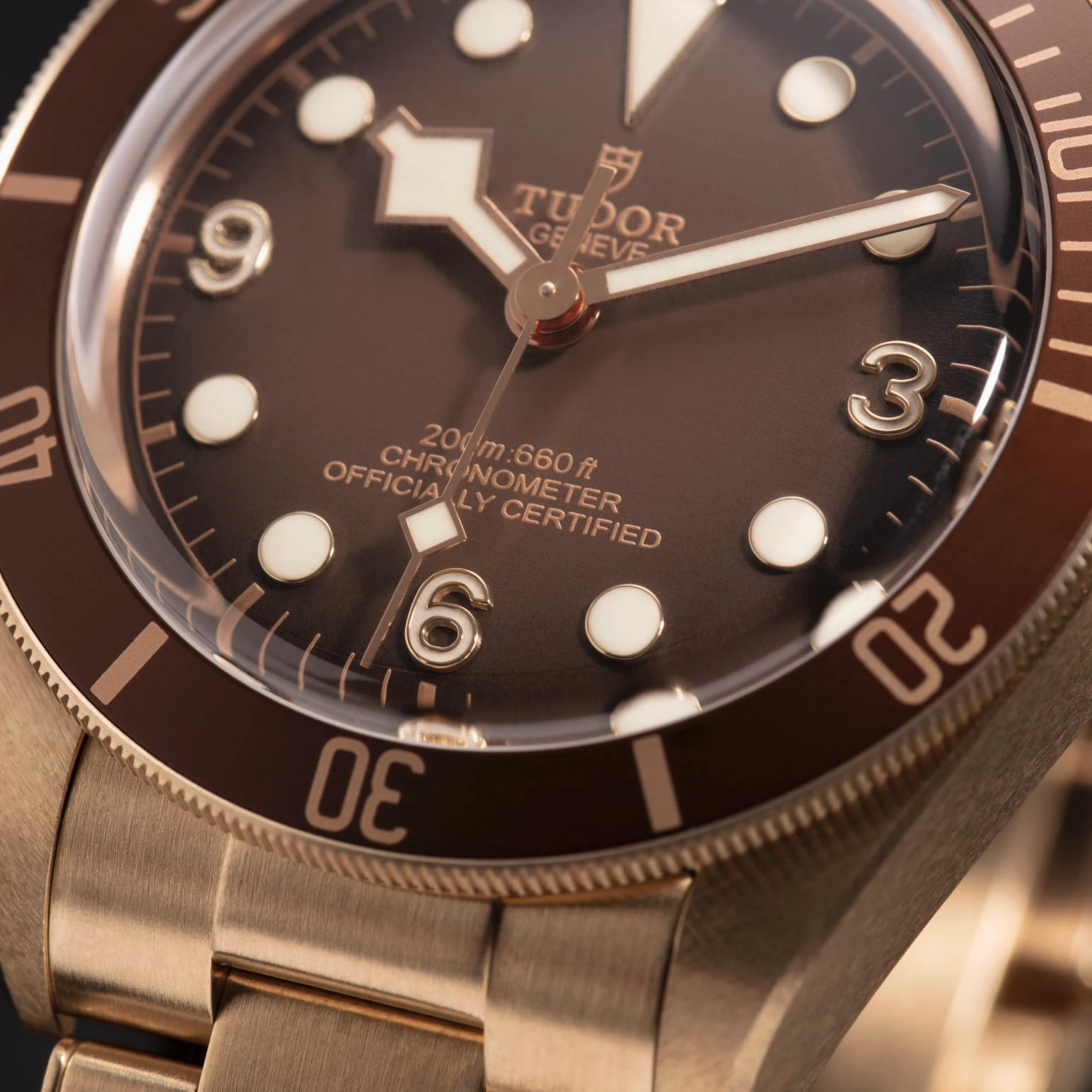 Black Bay | 79012M | Bronze | M79012M-0001 | Tudor Official Retailer - Kee Hing Hung