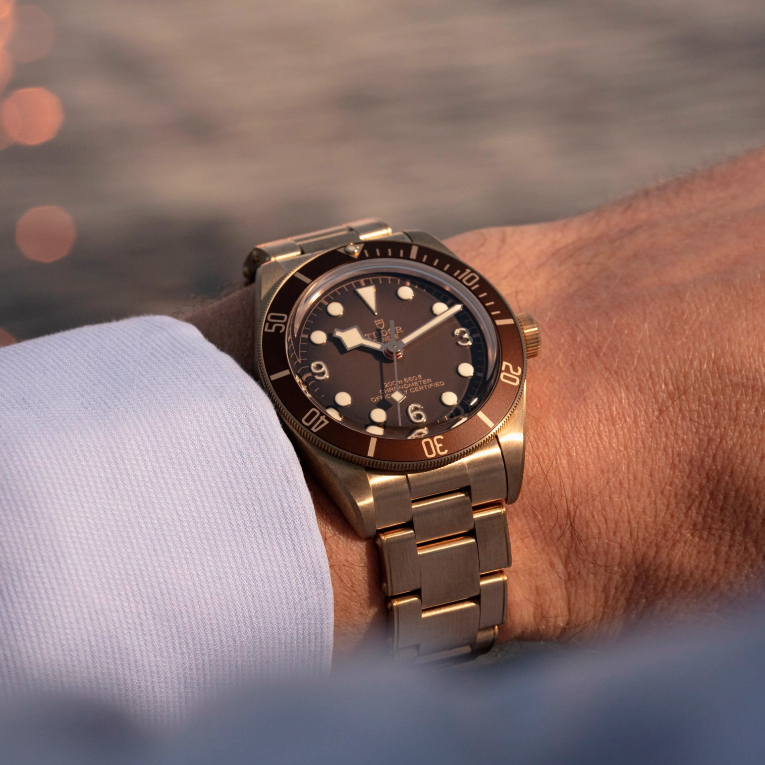 Black Bay | 79012M | Bronze | M79012M-0001 | Tudor Official Retailer - Kee Hing Hung