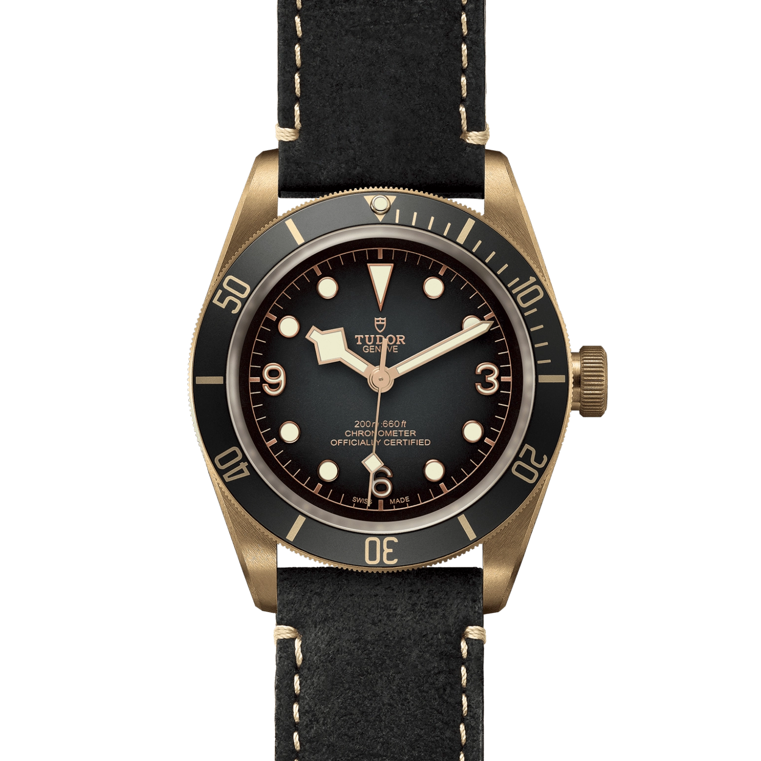 Black Bay | 79250BA | Bronze | M79250BA-0001 | Tudor Official Retailer - Kee Hing Hung