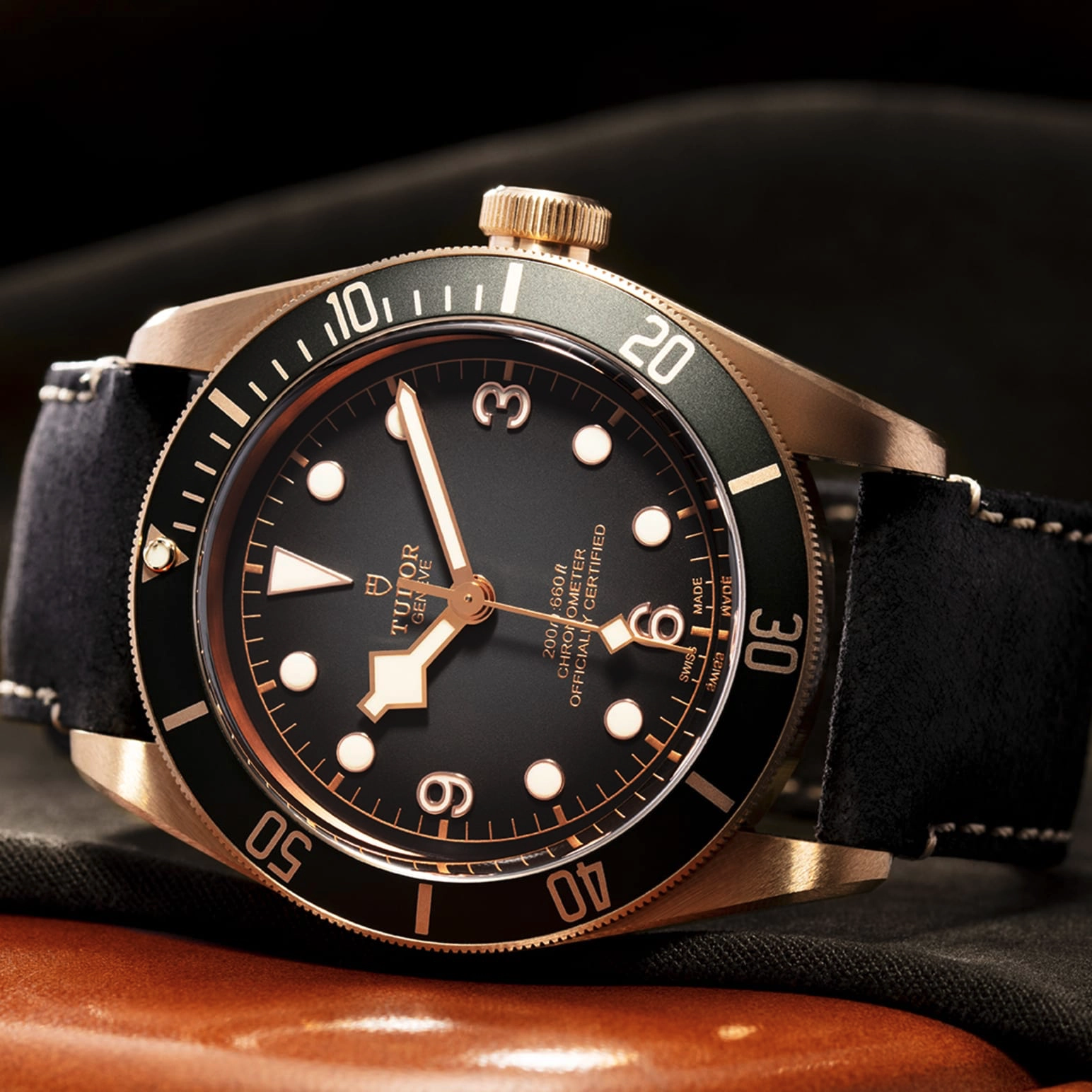 Black Bay | 79250BA | Bronze | M79250BA-0001 | Tudor Official Retailer - Kee Hing Hung