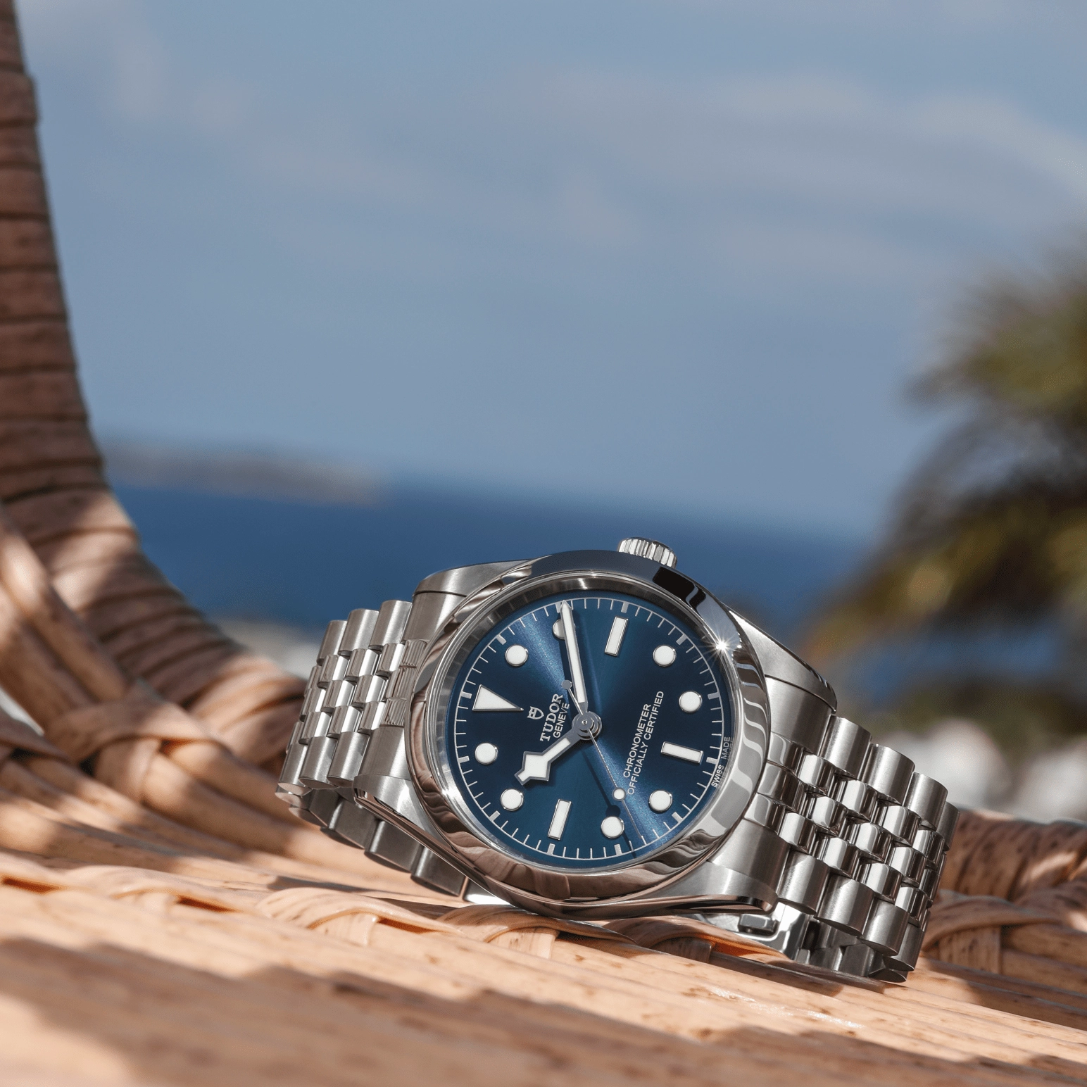 Black Bay | 79660 | Steel | M79660-0002 | Tudor Official Retailer - Kee Hing Hung