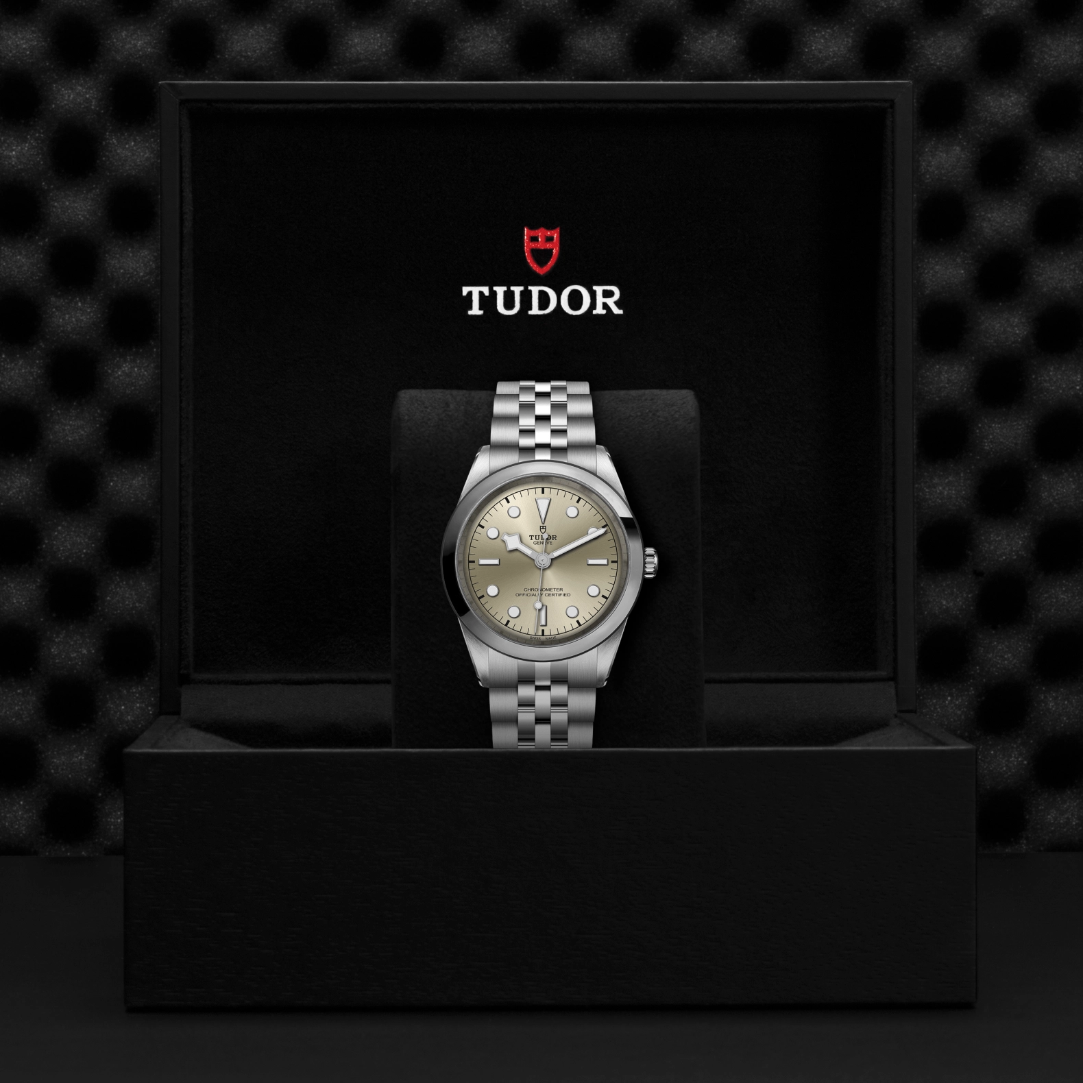 Black Bay | 79680 | Steel | M79680-0003 | Tudor Official Retailer - Kee Hing Hung
