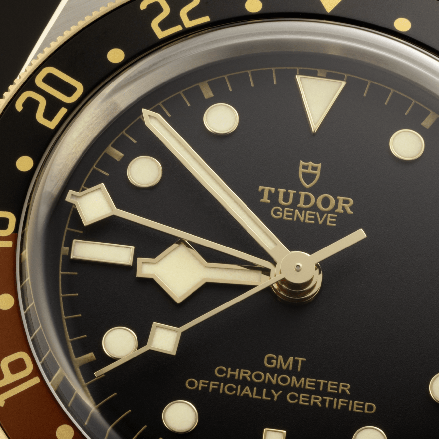 Black Bay | 79833MN | Steel and Gold | M79833MN-0003 | Tudor Official Retailer - Kee Hing Hung