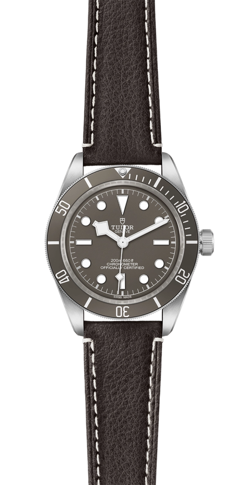 Black Bay | 79010SG | Silver | M79010SG-0001 | Tudor Official Retailer - Kee Hing Hung