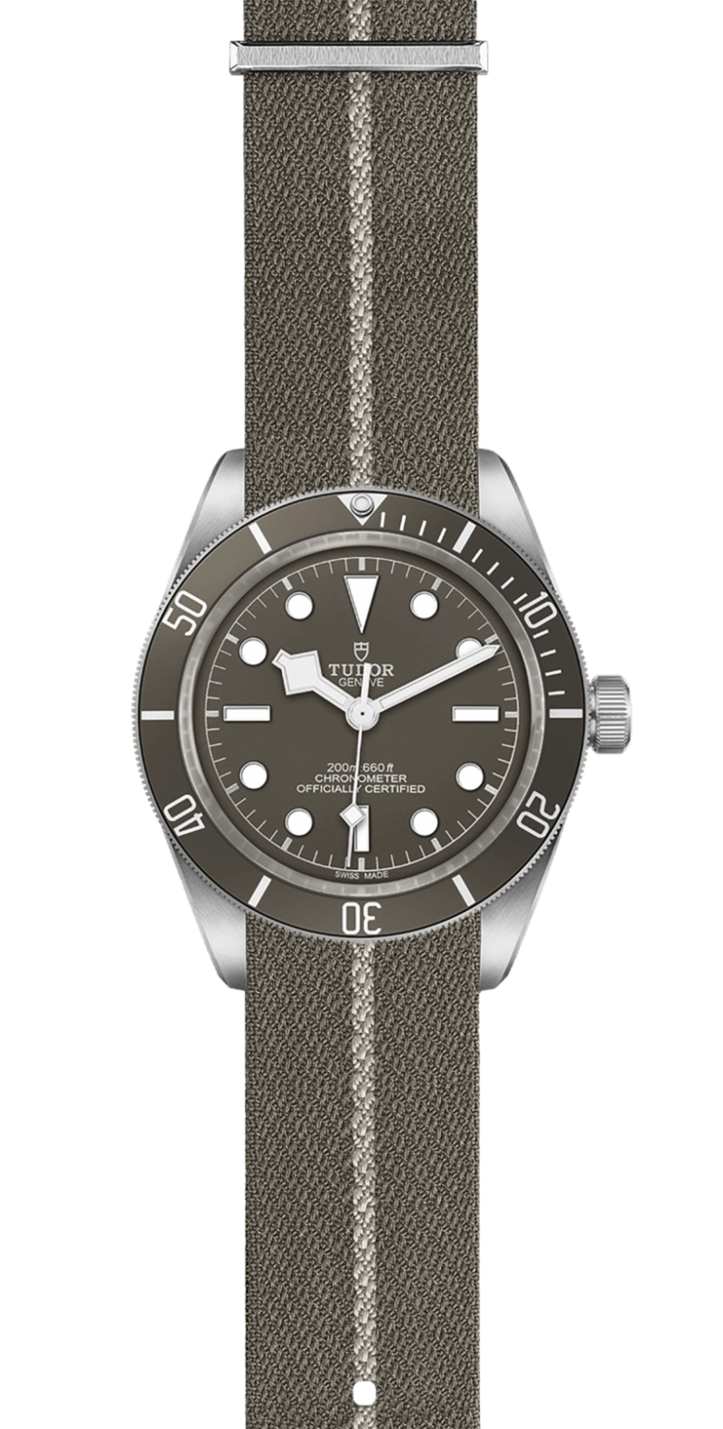 Black Bay | 79010SG | Silver | M79010SG-0002 | Tudor Official Retailer - Kee Hing Hung