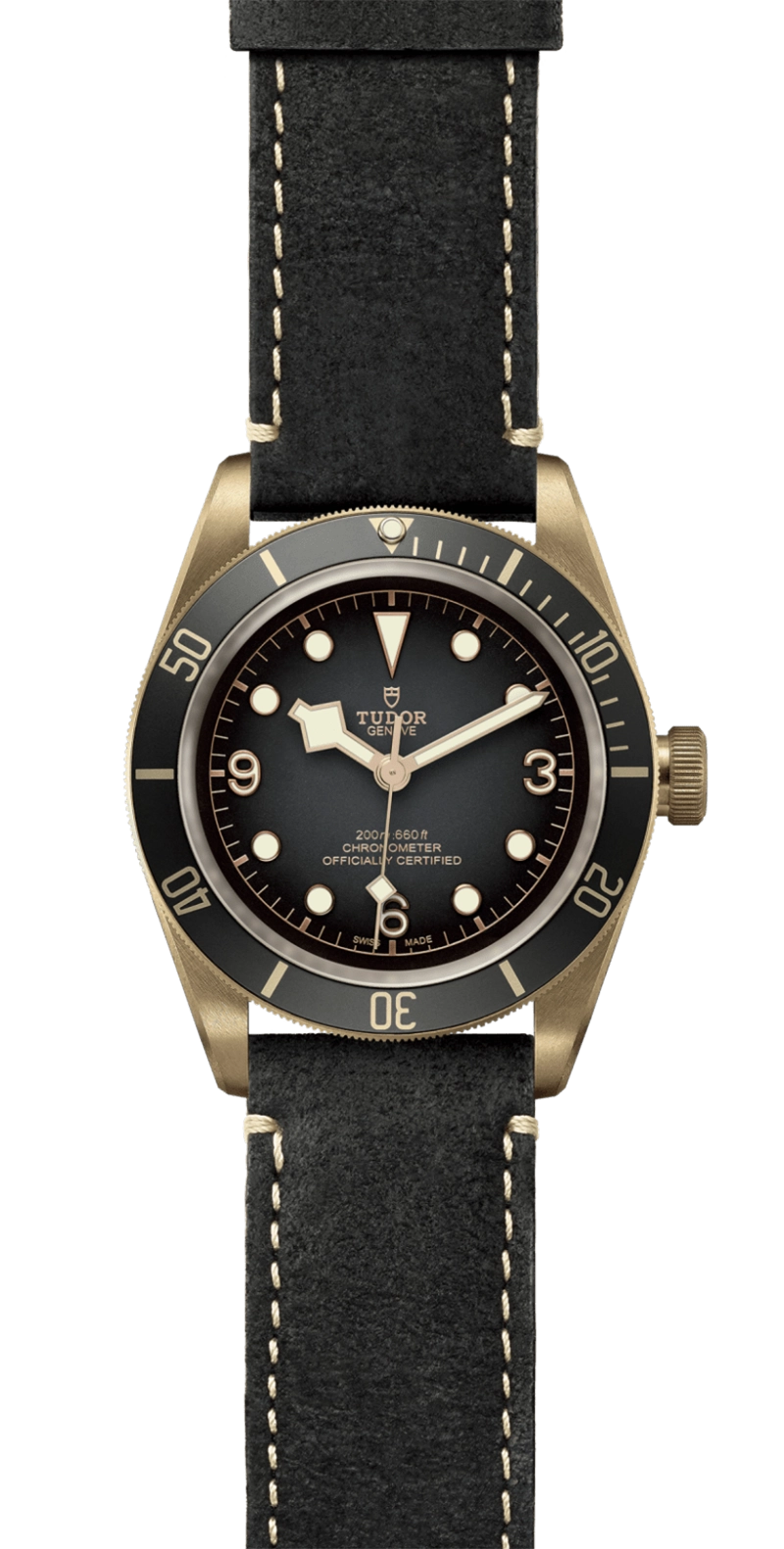 Black Bay | 79250BA | Bronze | M79250BA-0001 | Tudor Official Retailer - Kee Hing Hung