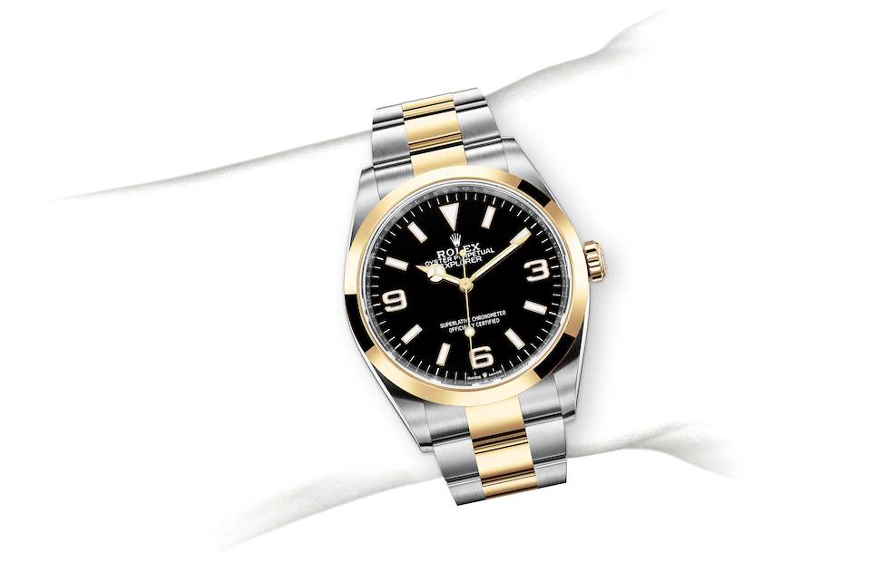 Rolex Explorer 36 in Oystersteel and yellow gold - m124273-0001 at Kee Hing Hung